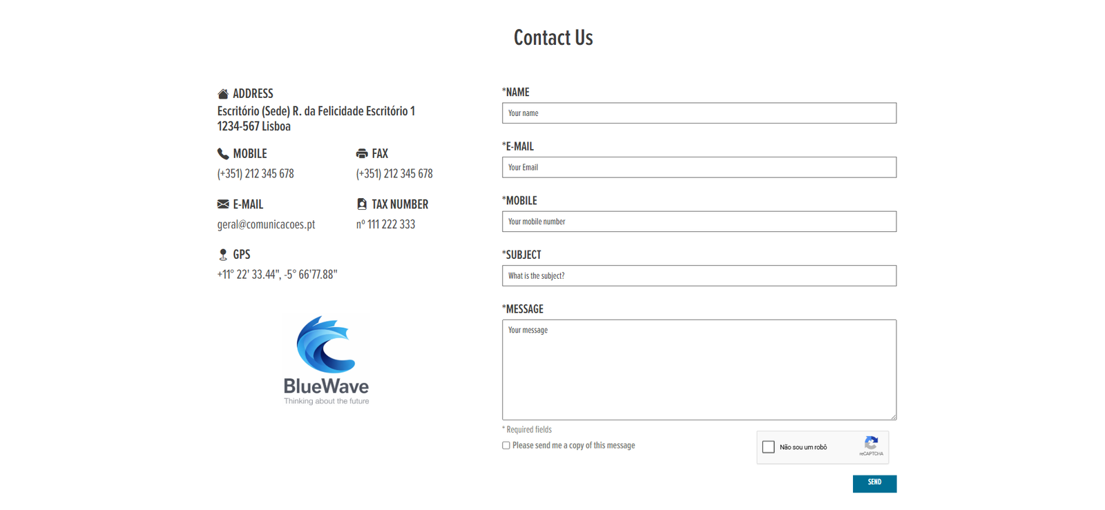 BlueWave CMS Contact Page