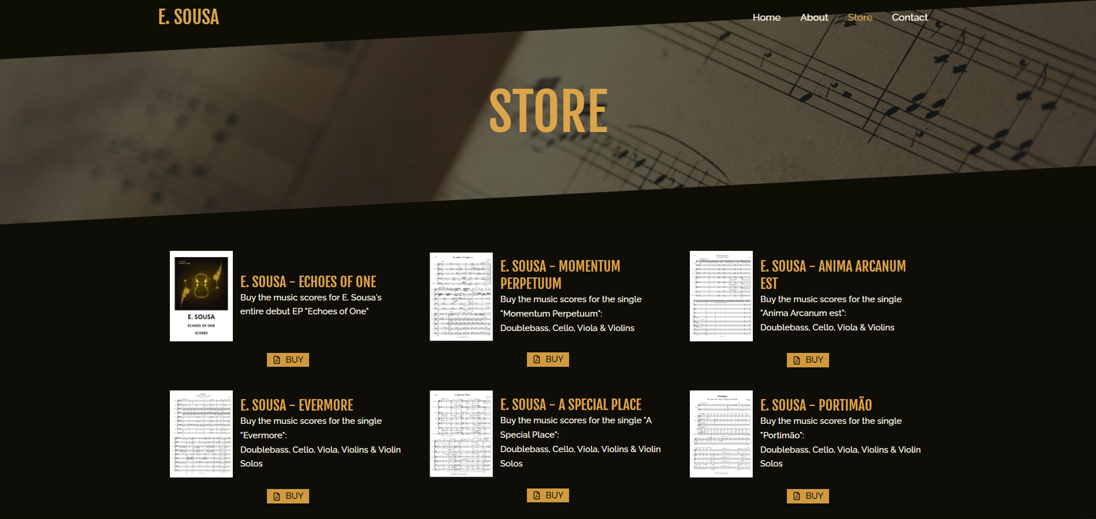 E. Sousa Musician website store page