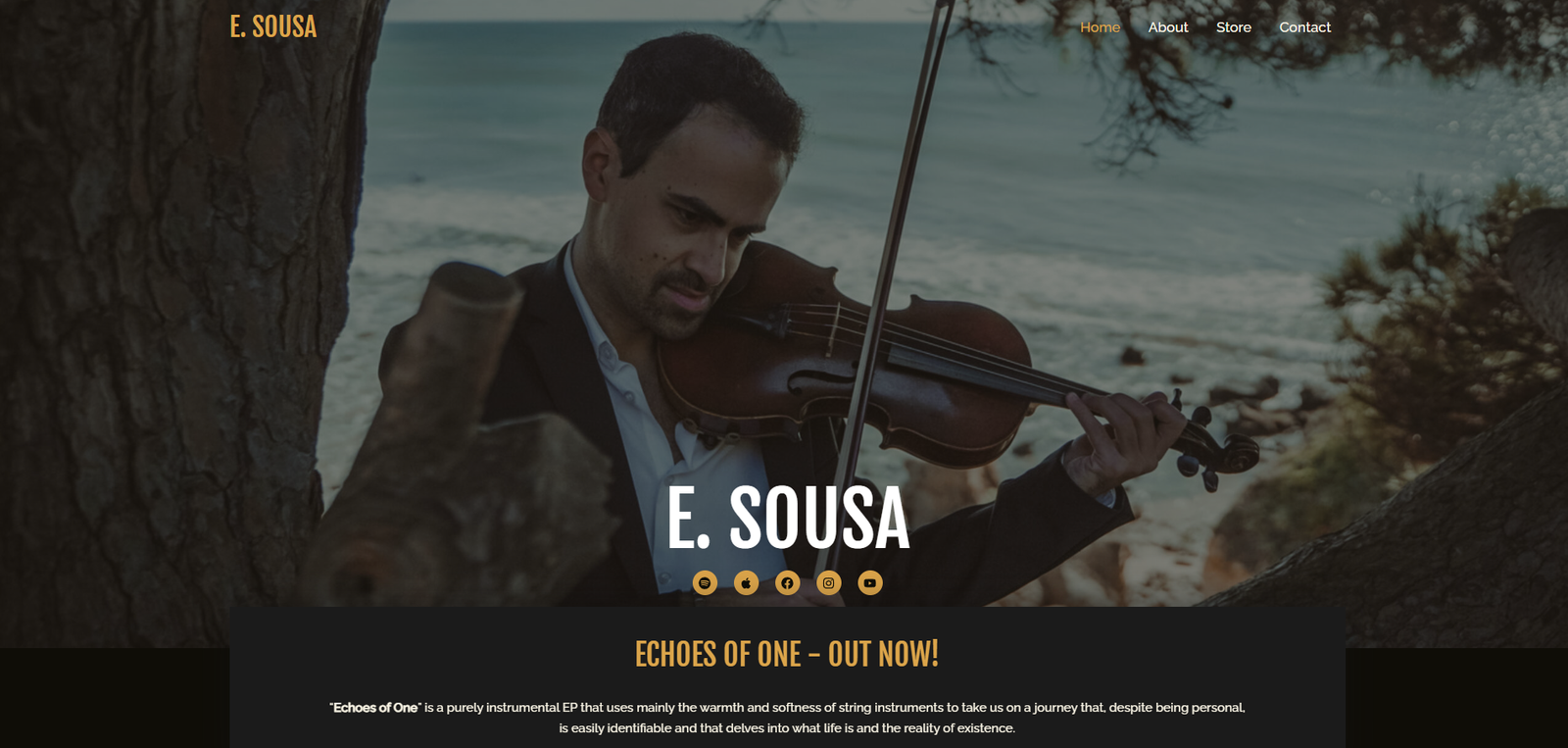 E. Sousa Official website homepage